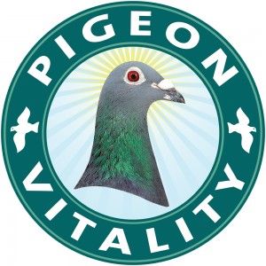 PIGEON VITALITY